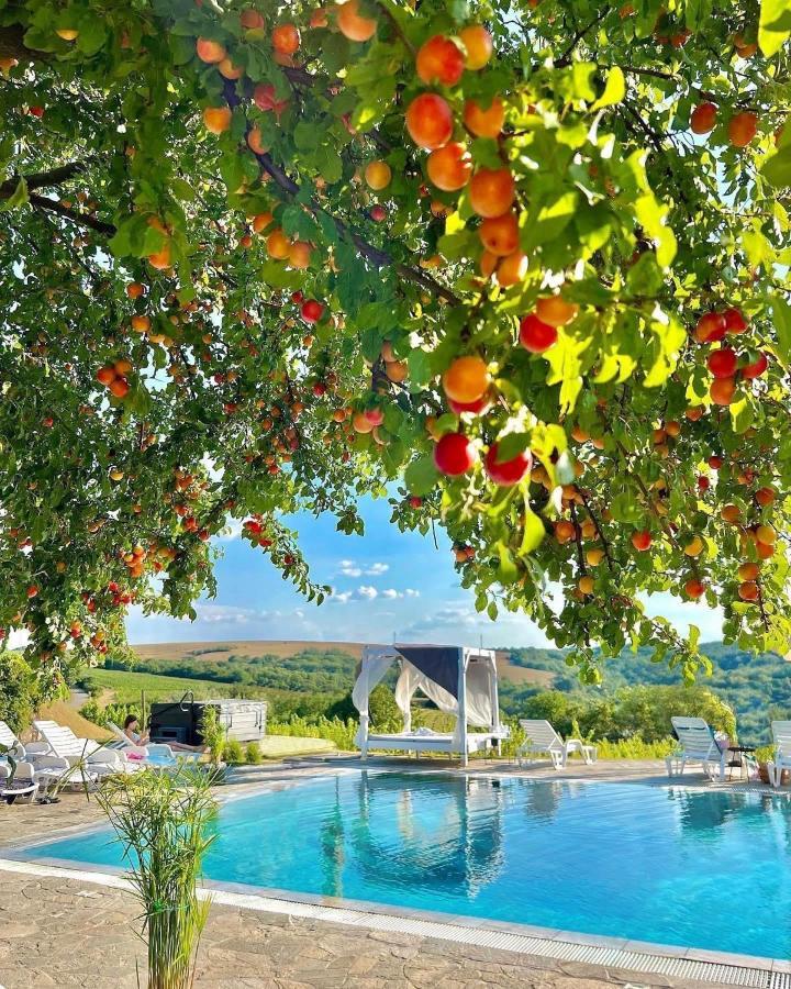 Hilltop Borbirtok & Etterem Hotel Neszmély Exterior foto